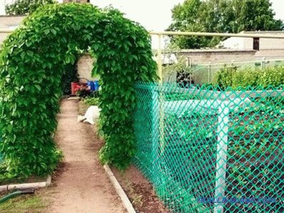 Jak si vybrat zahradní pletivo pro plot