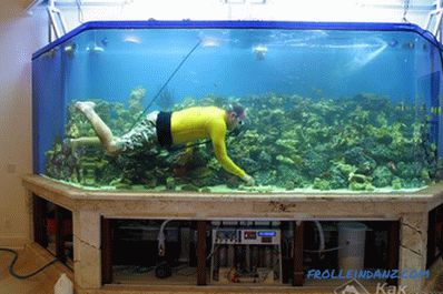 Jak udělat akvárium vlastními rukama