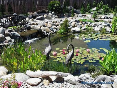 Rybník na letní chatě - výstavba umělé vodní nádrže (+ fotografie)