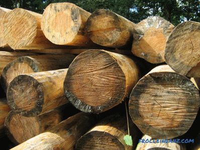 Jak ošetřit dřevo z plísní?
