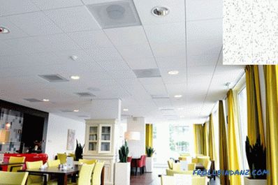 Armstrong strop - technické vlastnosti, typy, výhody a nevýhody + Fotografie